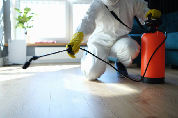 Reliable Biohazard Cleanup contractor in Pinopolis, SC by Dulley Family Biohazard Services